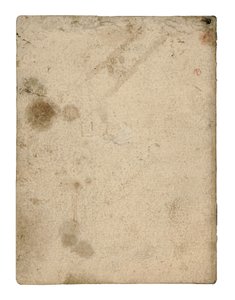 鳥の飛行に関するコーデックス、エンドペーパーIV 作： Leonardo da Vinci